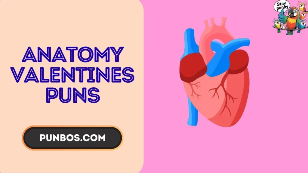 Anatomy Valentines Puns