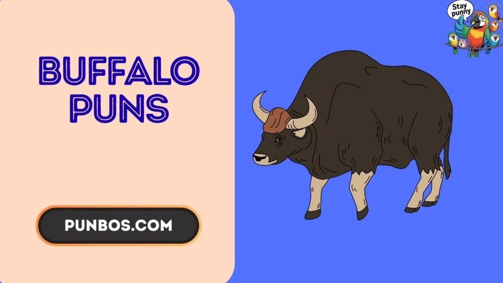 Buffalo Puns