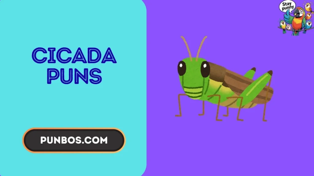 cicada puns