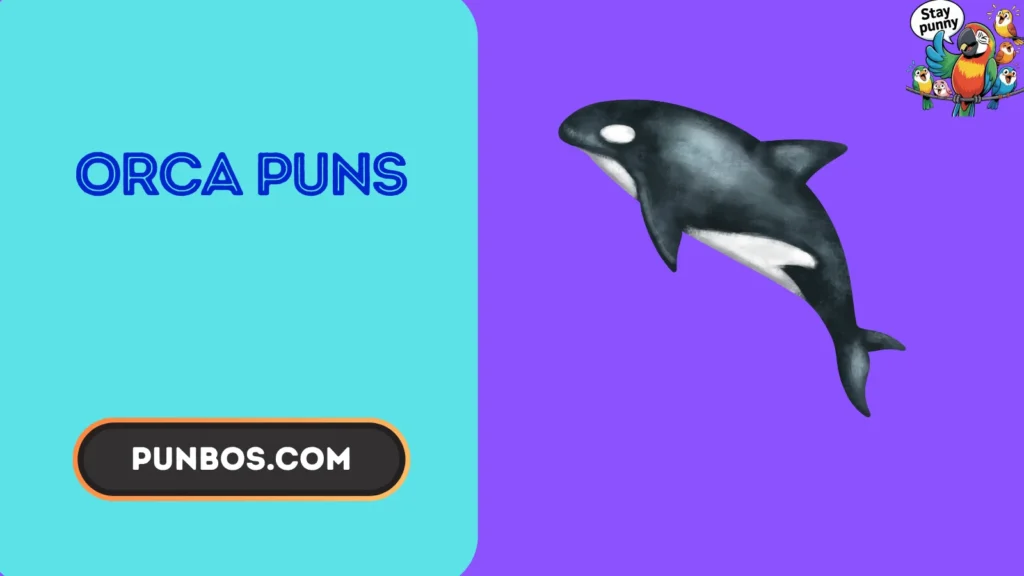 Orca Puns